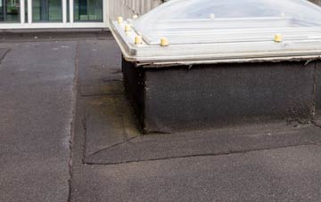disadvantages of Gott flat roofs