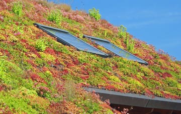 Gott living roof systems